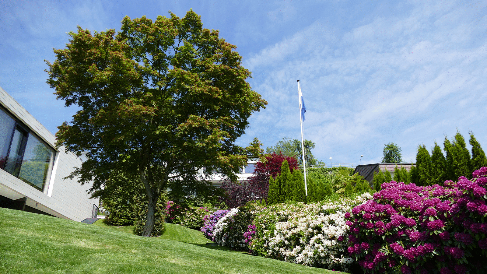 Impression eines gepflegten Garten