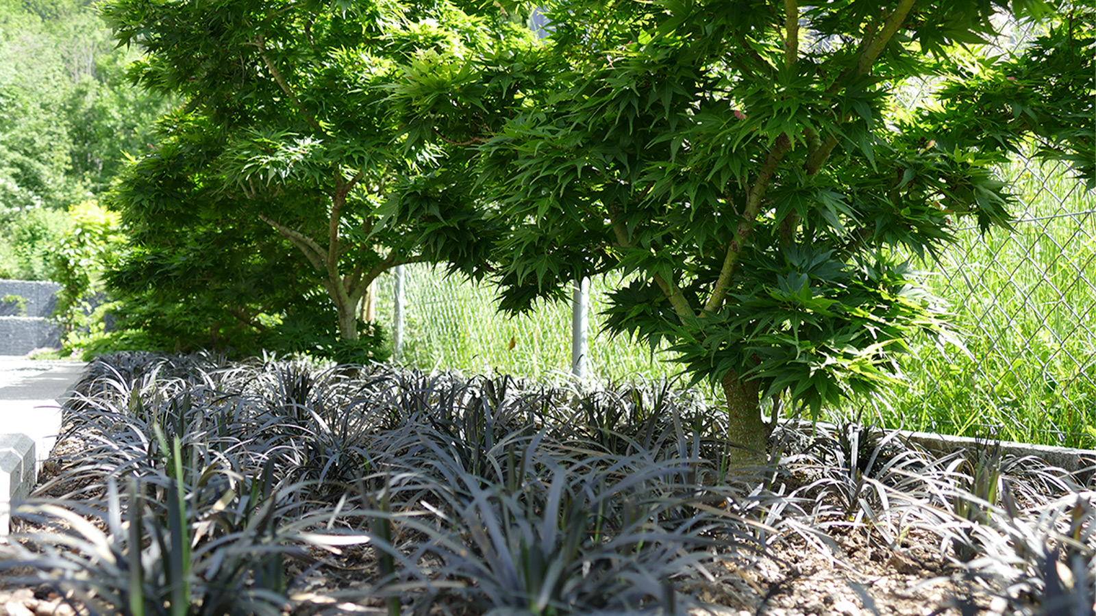 Pflege mit dem Gartenabo