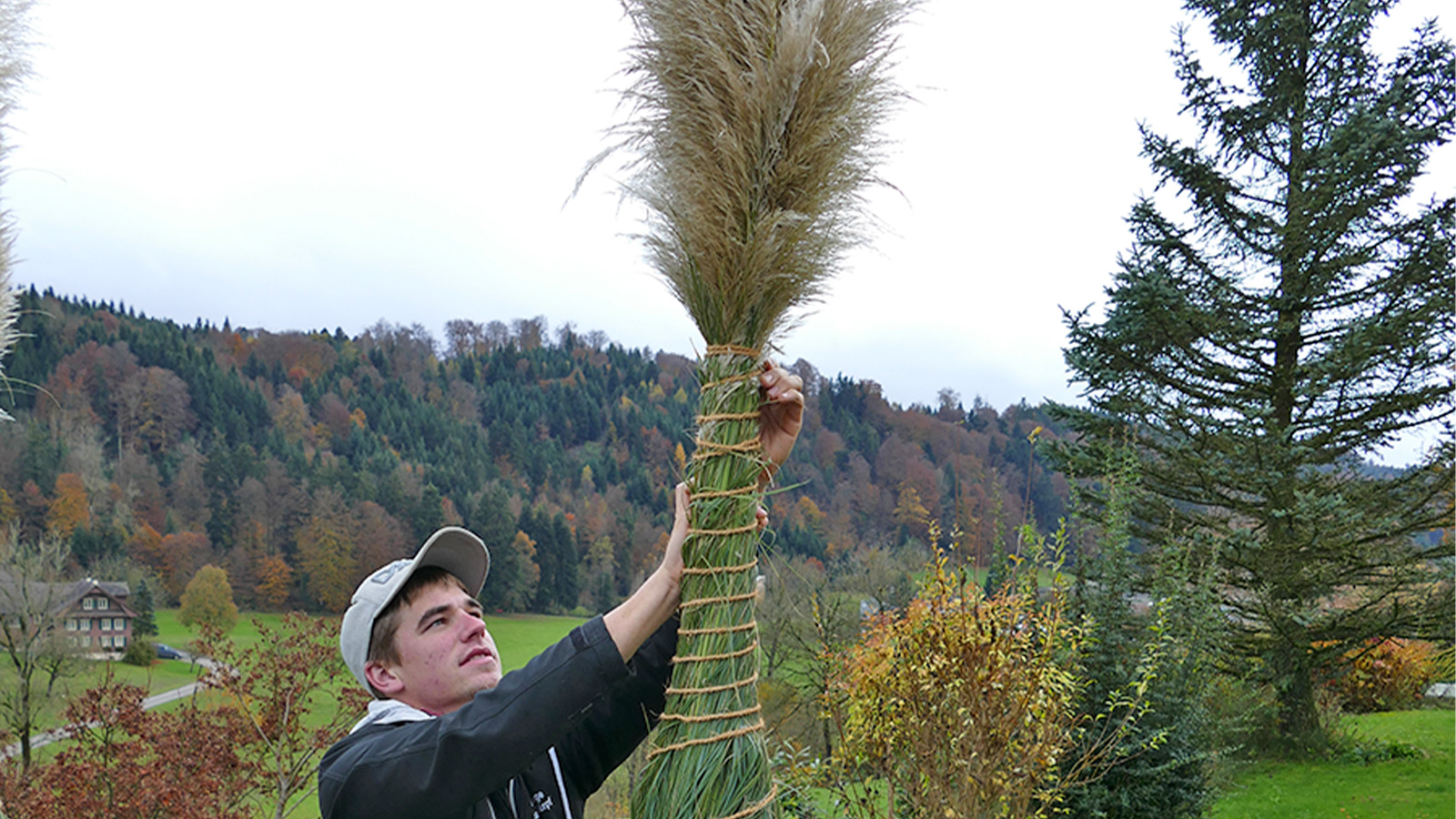 Pflege mit dem Gartenabo