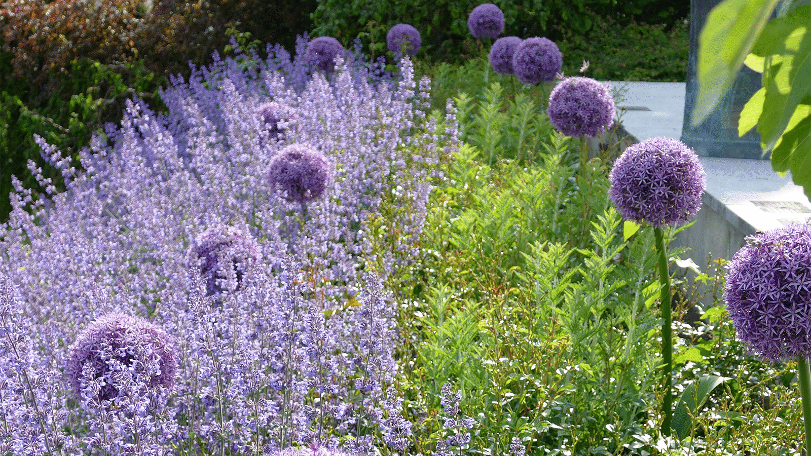 Bepflanzung von Gartenanlagen